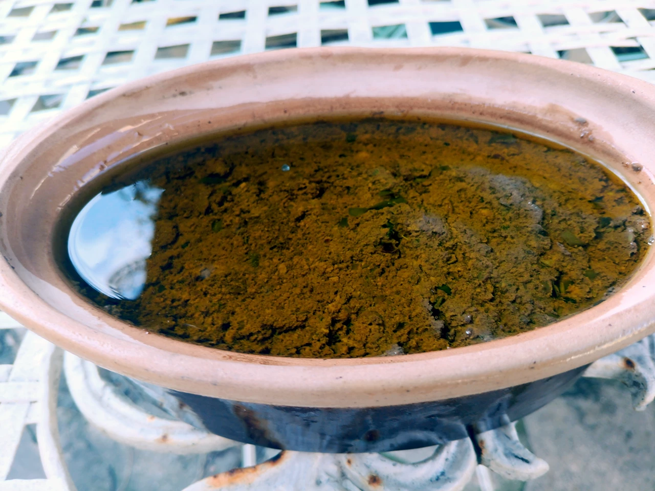 Crostini di caccia, antipasto italien traditionnel à base de foie de volaille